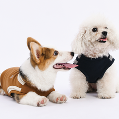 doustyle pet vest