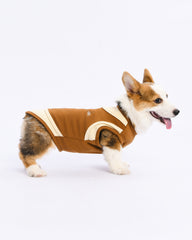 doustyle pet vest