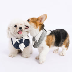 office max pet bandana