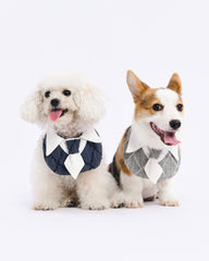 office max pet bandana