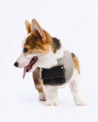 bureaucratic punk pet bandana