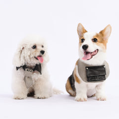 bureaucratic punk pet bandana