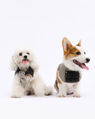 bureaucratic punk pet bandana