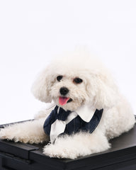 office max pet bandana