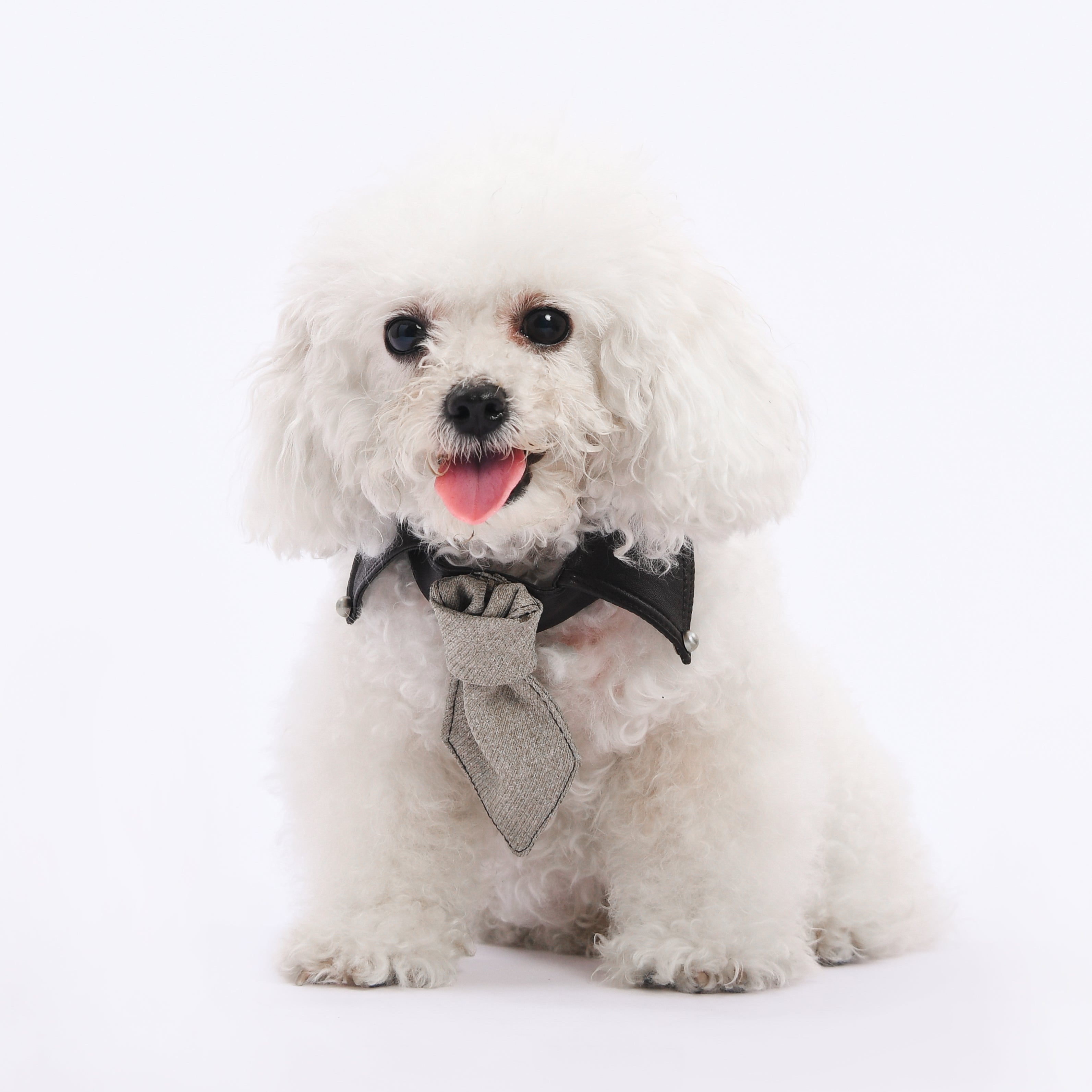 old money necktie