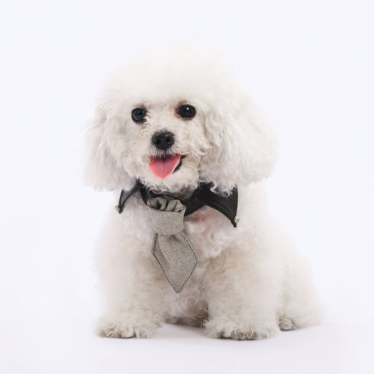 old money necktie