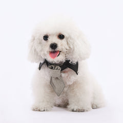 old money necktie